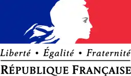 Besoin d'informations concernant la législation des VHU en France ?